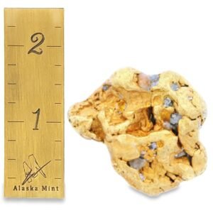 193.5 Gram Natural Gold Nugget from Wiseman, Alaska