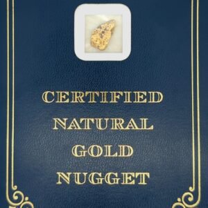 2.7 Gram Natural Gold Nugget from Moose Creek, Alaska