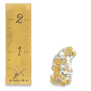 21.8 Gram Alaskan Gold & Quartz Specimen