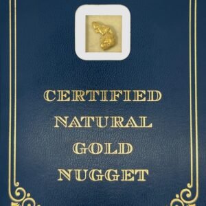 3.3 Gram Natural Gold Nugget from Trapper Creek, Alaska