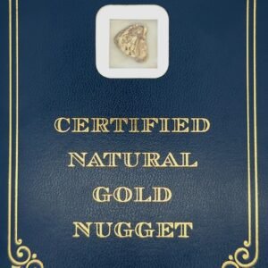 3.7 Gram Natural Gold Nugget from Eagle, Alaska