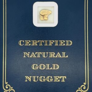 3.8 Gram Natural Gold Nugget from Chicken, Alaska