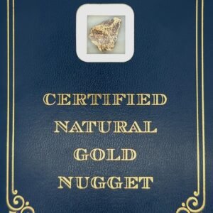 4.9 Gram Natural Gold Nugget from Eagle, Alaska