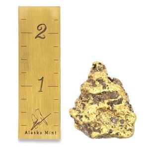 48.8 Gram Natural Gold Nugget from Hunter Creek, Alaska