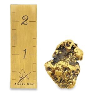 49.0 Gram Natural Gold Nugget from Rampart, Alaska