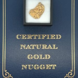 5.1 Gram Natural Gold Nugget from Moose Creek, Alaska