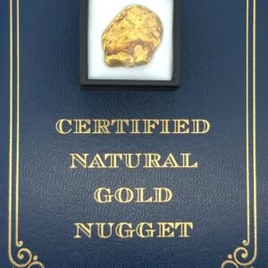 8.9 Gram Natural Gold Nugget from Chicken, Alaska