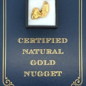 9.8 Gram Natural Gold Nugget from Eureka, Alaska